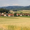 vue 2