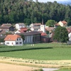 vue 1
