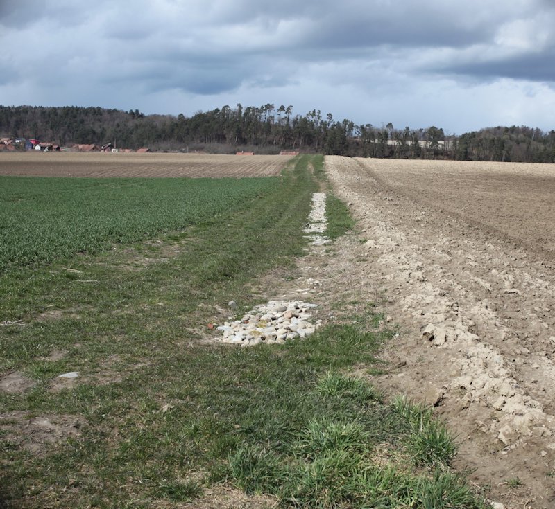 m20130410_06_poyet