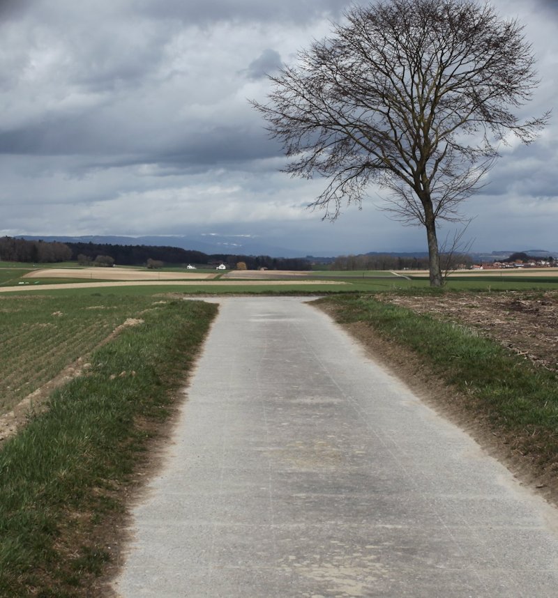 m20130410_12_sur_minel