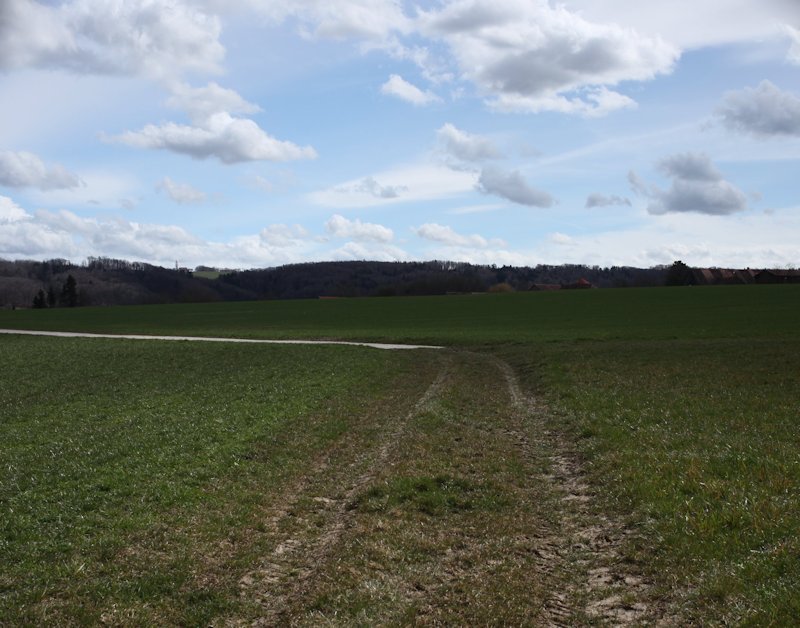 m20130410_22_planches_du_perron