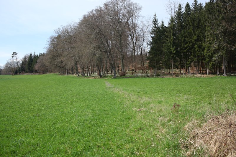 m20130416_08_la_chaux