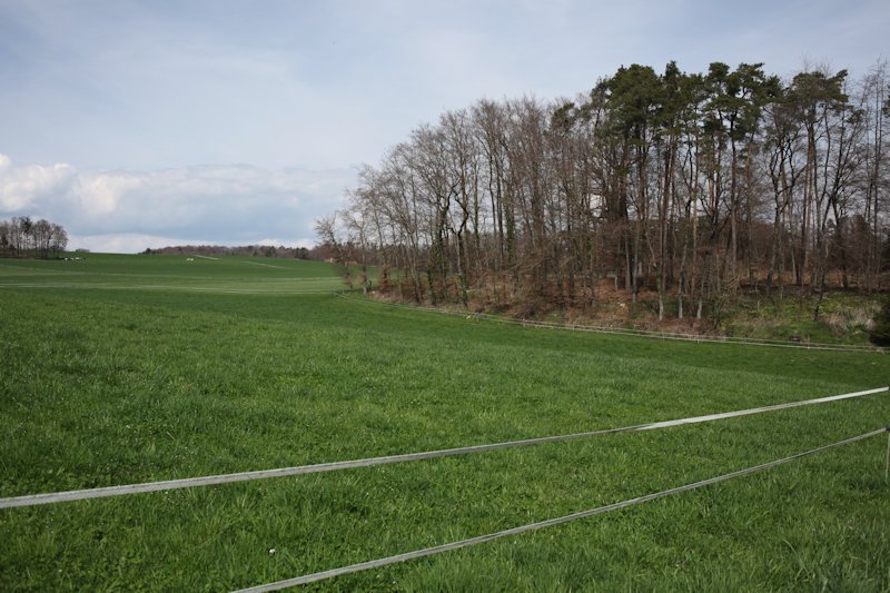 m20130416_12_la_chaux