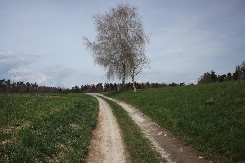 m20130416_19_grangesdesbois_dessus