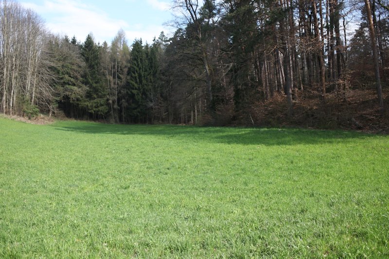 m20130418_03_verdiere