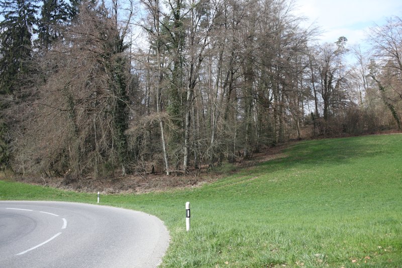 m20130418_04_verdiere