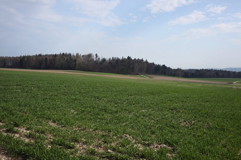 m20130418_09_essert_de_la_chaux