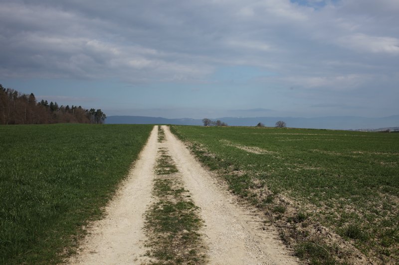 m20130418_10_essert_de_la_chaux