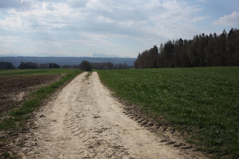 m20130418_11_essert_de_la_chaux