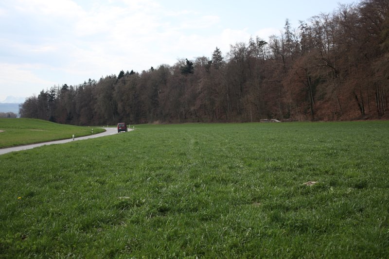 m20130418_15_grand_bois