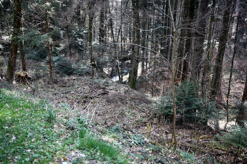 m20130418_23_ruisseau_du_moulin