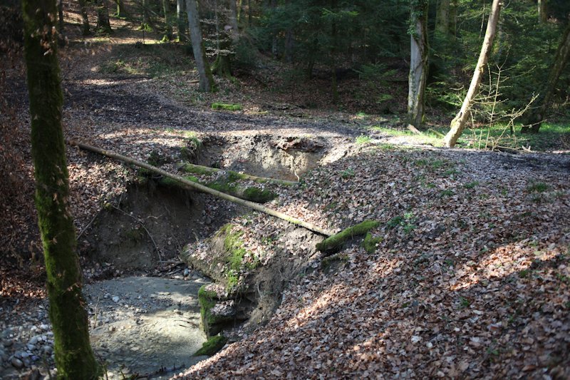 m20130418_25_ruisseau_du_moulin