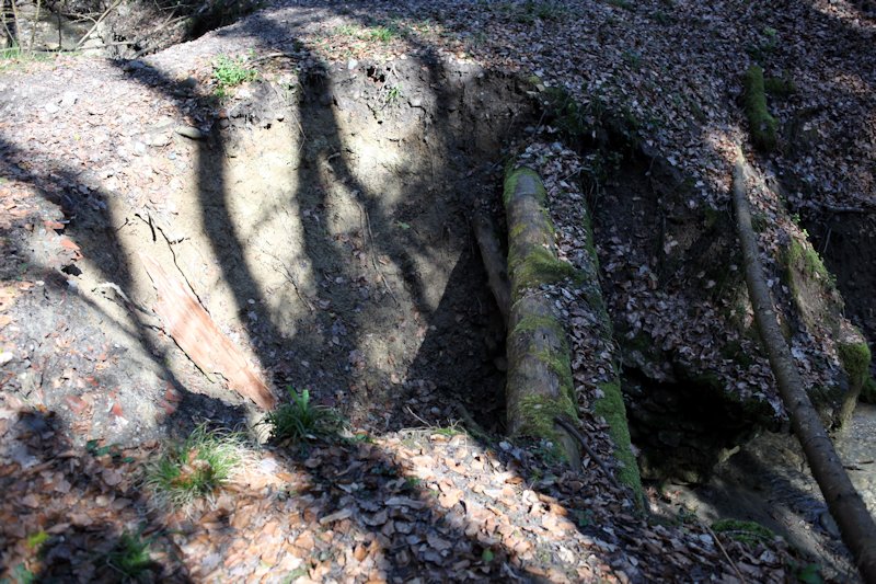m20130418_26_ruisseau_du_moulin
