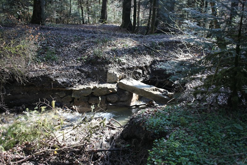 m20130418_28_ruisseau_du_moulin