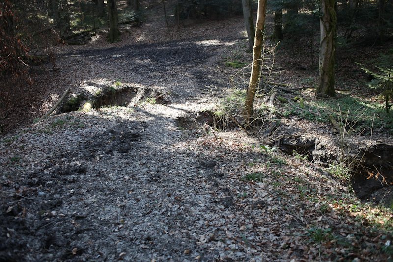 m20130418_30_ruisseau_du_moulin