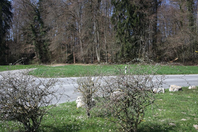 m20130418_33_verdiere