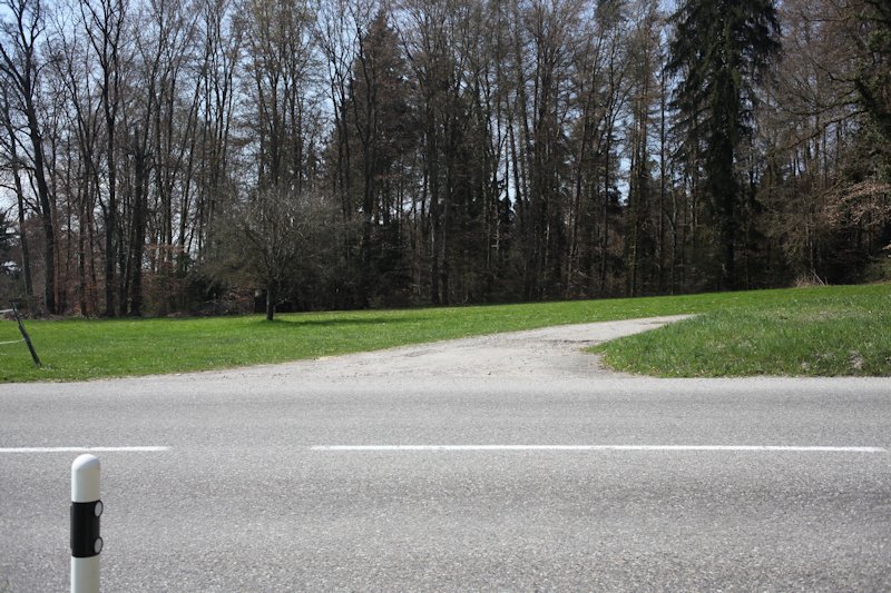 m20130418_34_verdiere