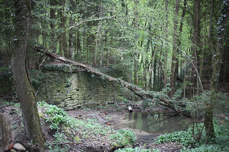 Ménières, Moulin