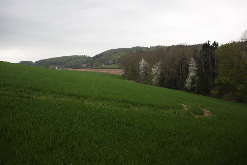 Ménières, Les Moilles