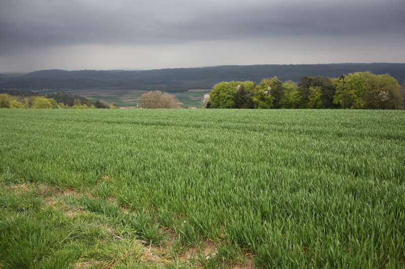 Ménières, Le Pommeret