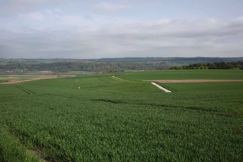 Ménières, Bois Masson