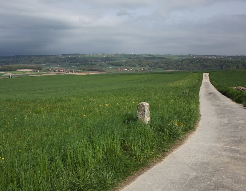 Ménières, Bois Masson