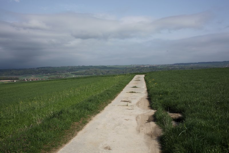 Ménières, Bois Masson