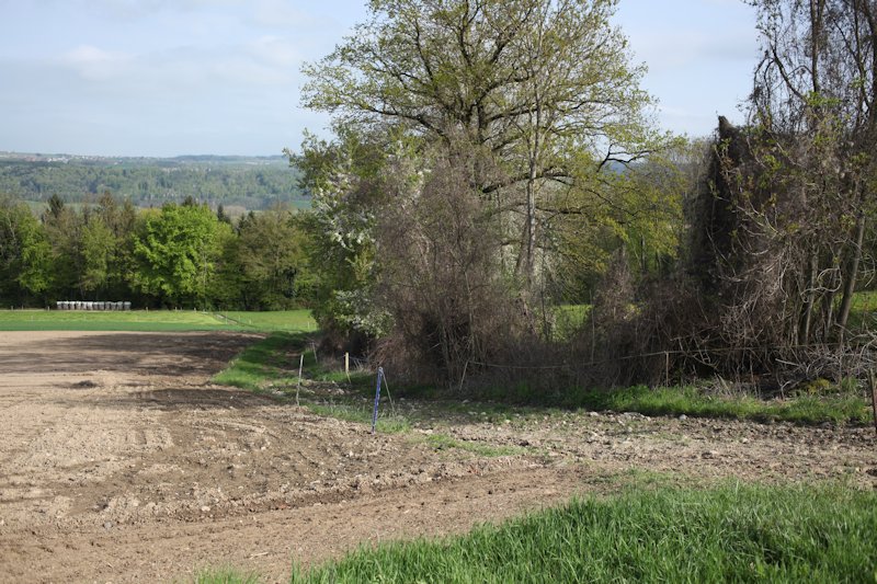 Ménières, La Malafin