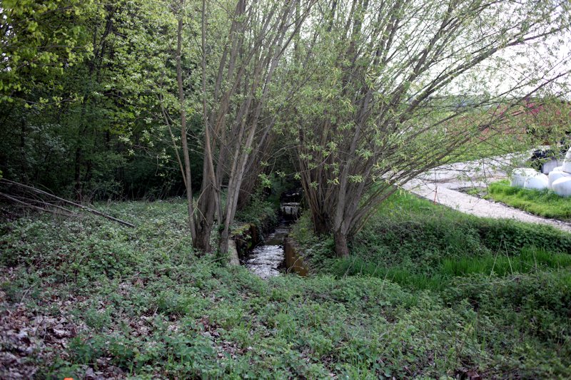 Ménières, La Malafin